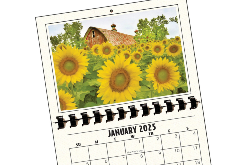 Tips To Get the Most Out of Your Photography Calendar