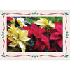 1007 - Natural, Holiday Border, Blank Back, set of 10 cards