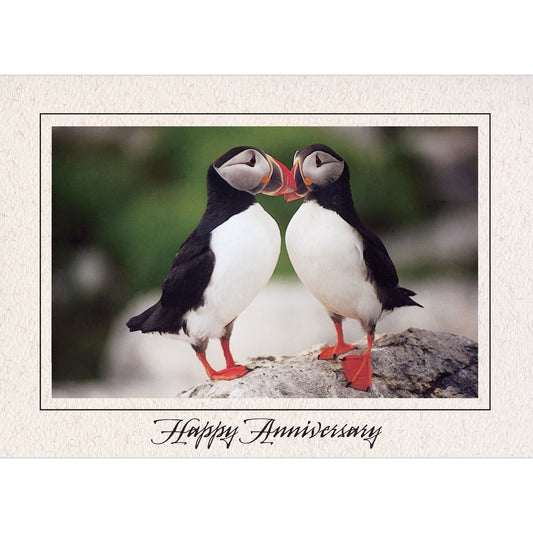 1014 - Natural, Happy Anniversary, Horizontal, set of 10 cards