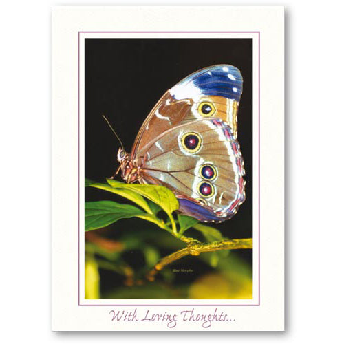 1047 - Bright White, With Loving Thoughts..., Vertical, set of 10 cards