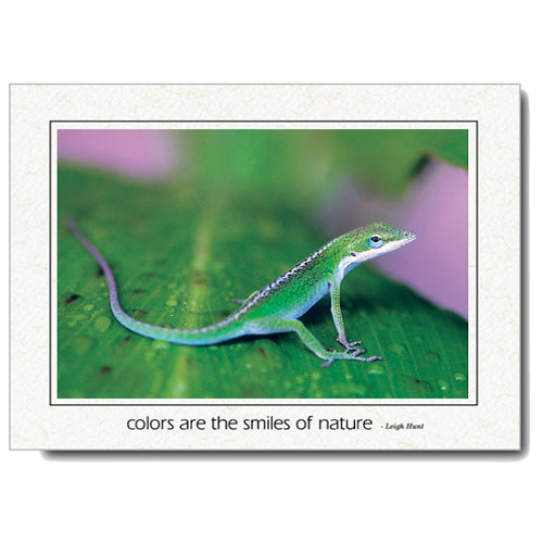 1081 - Natural, Colors are the..., Horizontal, set of 10 cards