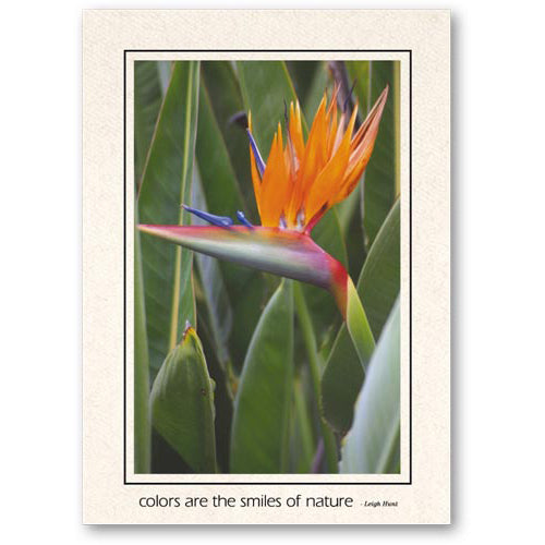 1082 - Natural, Colors are the..., Vertical, set of 10 cards