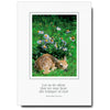 1101 - Bright White, Small Window, Let us be silent..., Vertical, set of 10 cards