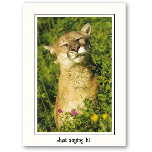 1111 - Bright White, Just saying hi, Vertical, set of 10 cards