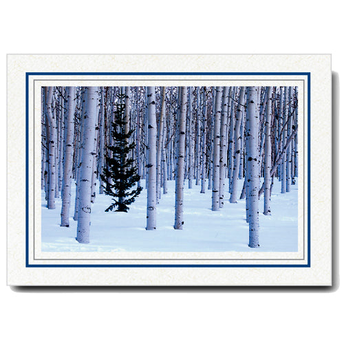 1132M-G - Natural, Midnight Blue & Granite Border, Blank Back, set of 10 cards