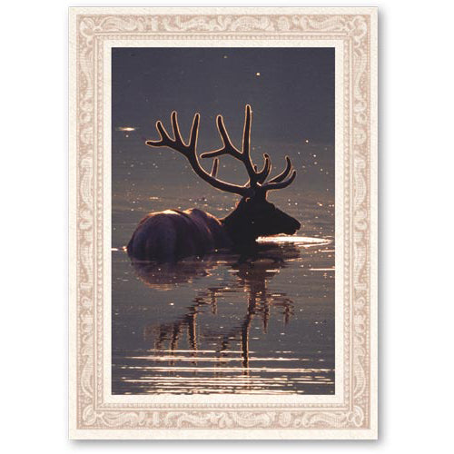 1144 - Natural, Picture Frame, Blank Back, set of 10 cards