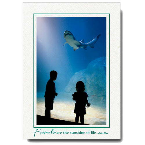 1148 - Natural, Friends are the sunshine..., Vertical, set of 10 cards