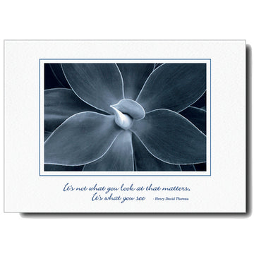 1185 - Bright White, Small Window, It's not what you..., Horizontal, set of 10 cards