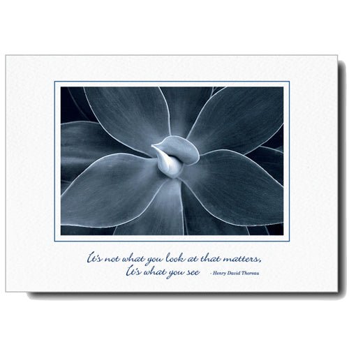 1185 - Bright White, Small Window, It's not what you..., Horizontal, set of 10 cards