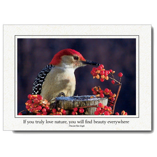 1198 - Natural, If you truly..., Horizontal, set of 10 cards