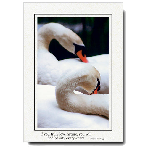 1199 - Natural, If you truly..., Vertical, set of 10 cards