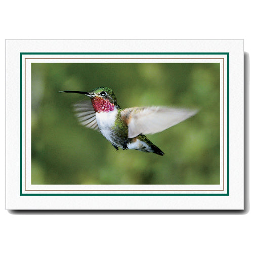 1224A-S - Bright White, Amazon Green & Sandstone Border, Horizontal, set of 10 cards