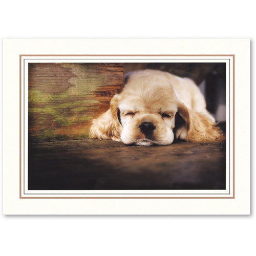 1226S-BK - Bright White, Sandstone & Raven Black Border, Blank Back, set of 10 cards