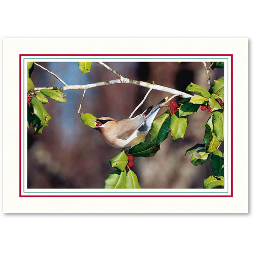 1226SC-A - Bright White, Scarlet Red & Amazon Green Border, Blank Back, set of 10 cards