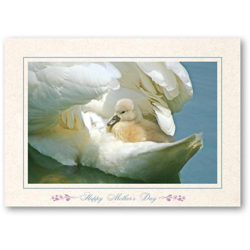 1227 - Natural, Happy Mother's Day, Horizontal, set of 10 cards