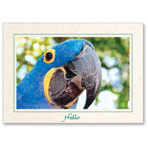 1254 - Natural, Hello, Horizontal, set of 10 cards