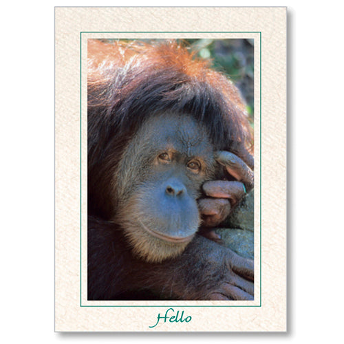 1255 - Natural, Hello, Vertical, set of 10 cards