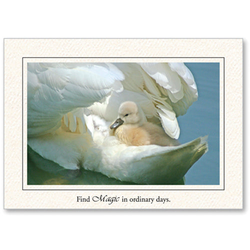 1256 - Bright White, Find Magic in..., Horizontal, set of 10 cards
