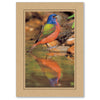 1270 - Ginger, Raven Black Border, Blank Back, set of 10 cards
