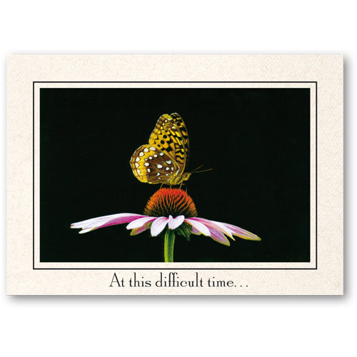 1311 - Natural, At this difficult time..., Horizontal, set of 10 cards