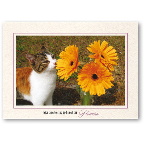 1317 - Natural, Take time to stop..., Horizontal, set of 10 cards