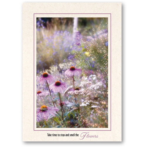 1318 - Natural, Take time to stop..., Vertical, set of 10 cards