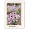 1318 - Natural, Take time to stop..., Vertical, set of 10 cards