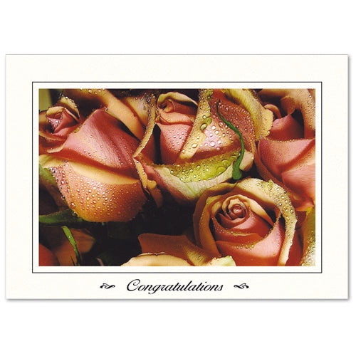 1347 - Bright White, Congratulations, Horizontal, set of 10 cards