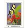 1348 - Bright White, Congratulations, Vertical, set of 10 cards