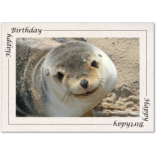 1437 - Natural, Happy Birthday, Blank Back, set of 10 cards