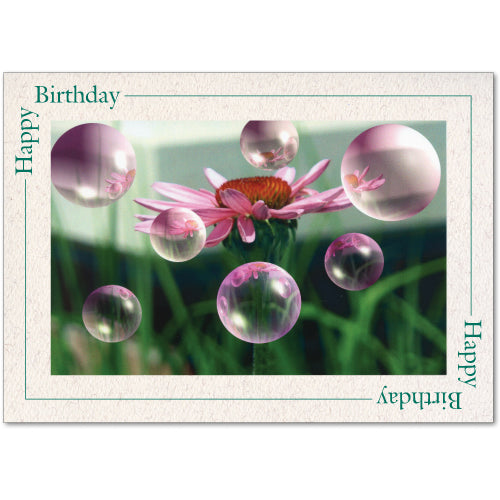 1438 - Natural, Happy Birthday, Blank Back, set of 10 cards