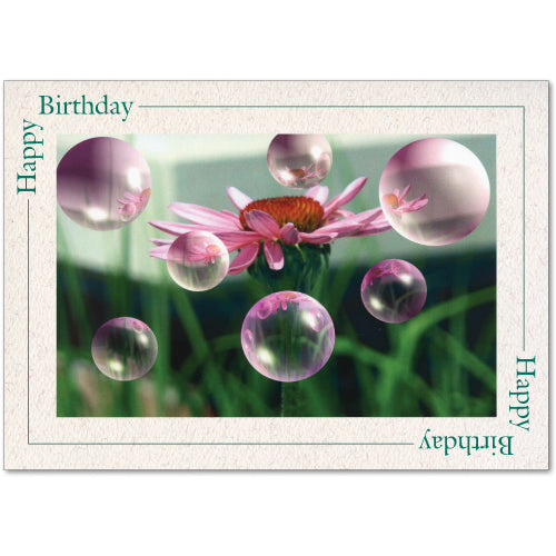 1438 - Natural, Happy Birthday, Blank Back, set of 10 cards