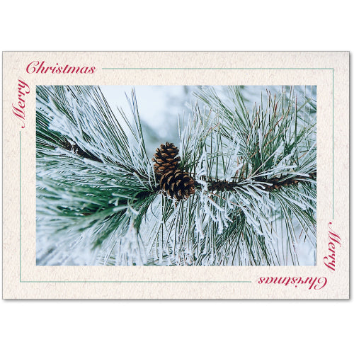 1444 - Natural, Merry Christmas, Blank Back, set of 10 cards