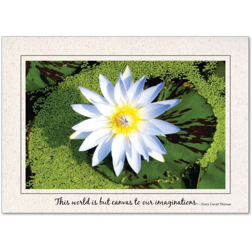 1468 - Natural, This world is canvas..., Horizontal, set of 10 cards
