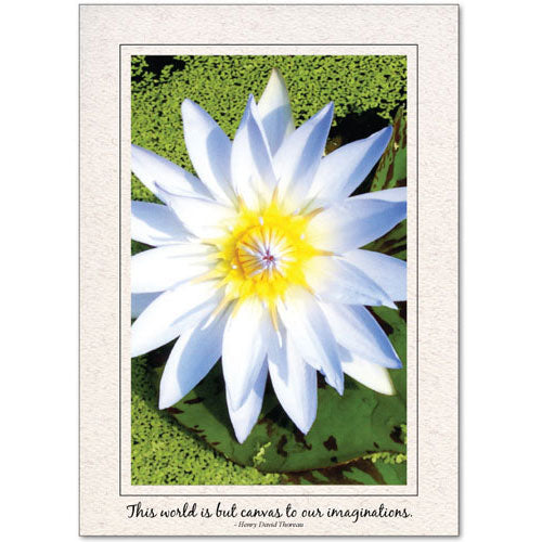 1469 - Natural, This world is canvas..., Vertical, set of 10 cards