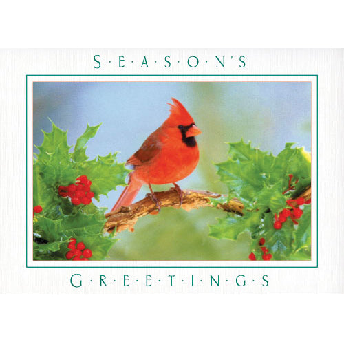 1507 - Snow White Linen, Season's Greetings, Horizontal, Set of 10 cards