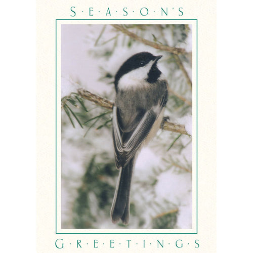 1508 - Snow White Linen, Season's Greetings, Vertical, Set of 10 cards