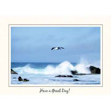 1524 - Bright White, Have a Great Day, Large Window, Horizontal, set of 10 card