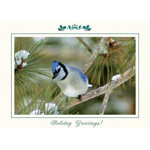 1528 - Bright White, Holiday Greetings!, Horizontal, set of 10 cards