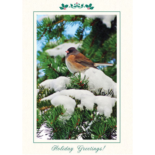 1529 - Bright White, Holiday Greetings!,  Vertical, set of 10 cards