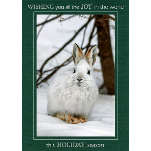 1533 - Pine Linen, Wishing you all the Joy..., Vertical, Set of 10 cards (DISCONTINUED)