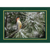 1550 - Pine Green Linen, Gold Foil Border, Blank Back, set of 10 cards