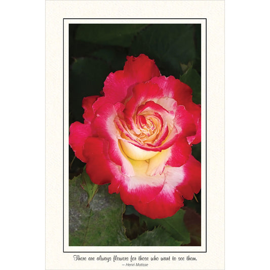 1568 - Bright White, There are always flowers..., Vertical, set of 10 cards