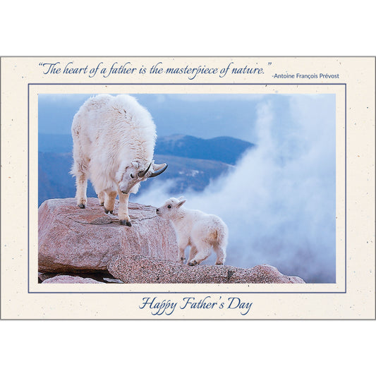 1607 - Natural, Happy Father's Day, Horizontal, set of 10 cards