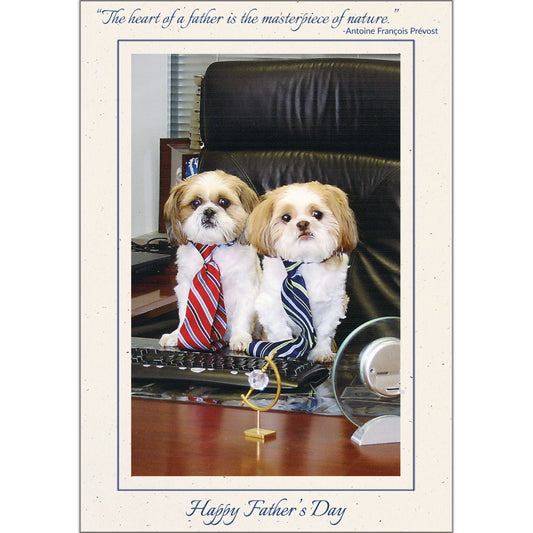 1608 - Natural, Happy Father's Day, Vertical, set of 10 cards