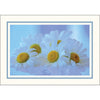 1609PB - Bright White, Sky Blue Pastel Border, Blank Back, set of 10 cards