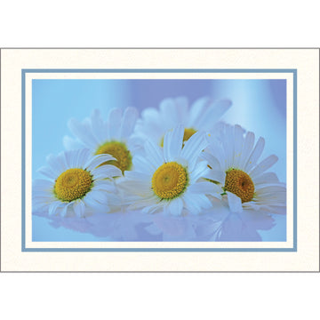 1609PB - Bright White, Sky Blue Pastel Border, Blank Back, set of 10 cards