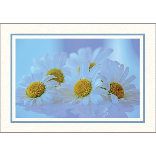 1609PB - Bright White, Sky Blue Pastel Border, Blank Back, set of 10 cards