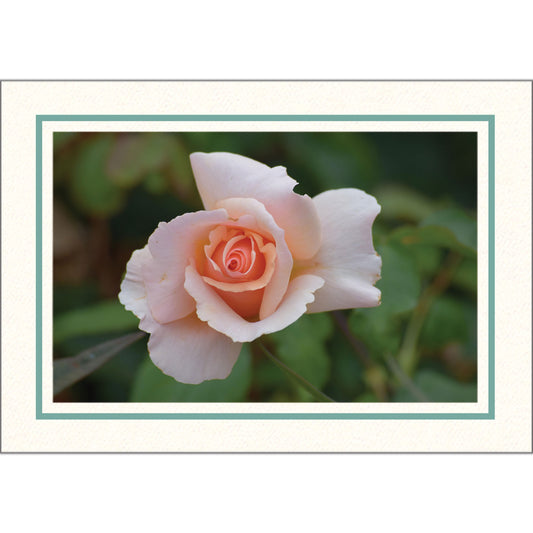 1609PJ - Bright White, Mint Green Pastel Border, Blank Back, set of 10 cards