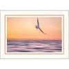 1609PT - Bright White, Cantaloupe Pastel Border, Blank Back, set of 10 cards